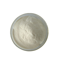 Large Stock High Quality Psyllium Seed Husk Powder
