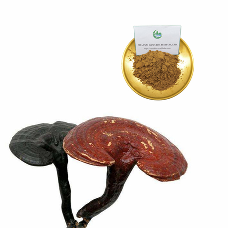 Organic Plant Powder Red reishi mushroom extract powder