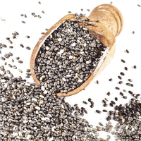 High Quality Meal Replacement Organic Bulk Chia Seed 